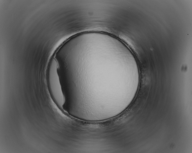 X0000090451468200708031206