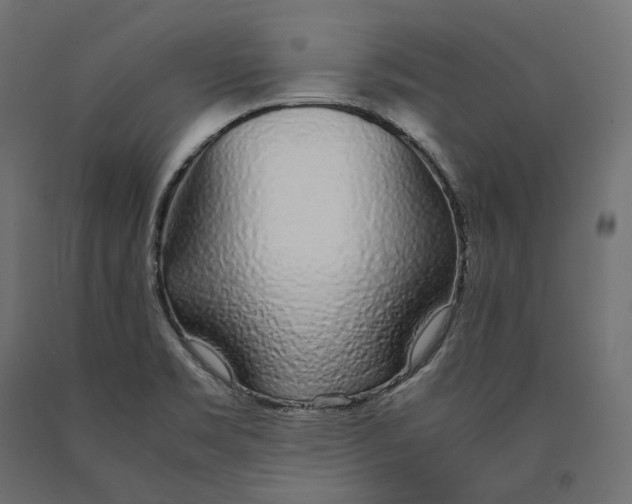 X0000090451469200708031206