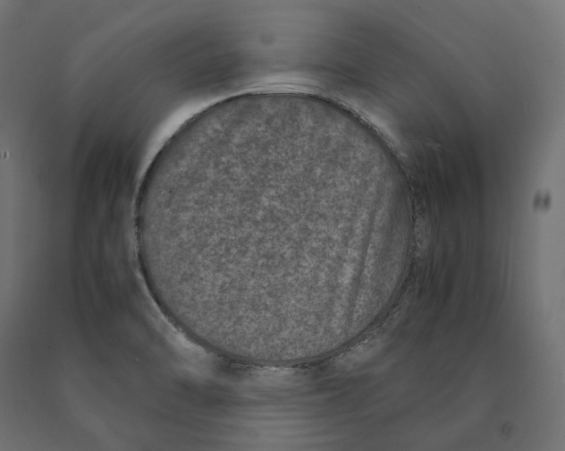 X0000090451470200708031206