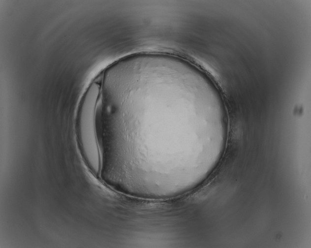 X0000090451471200708031206