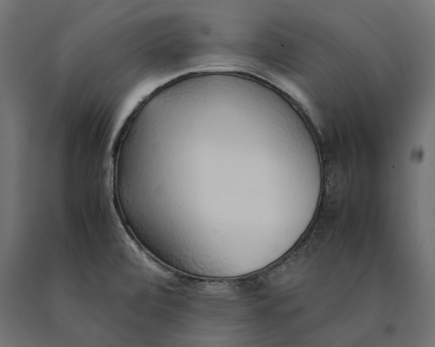 X0000090451472200708031206