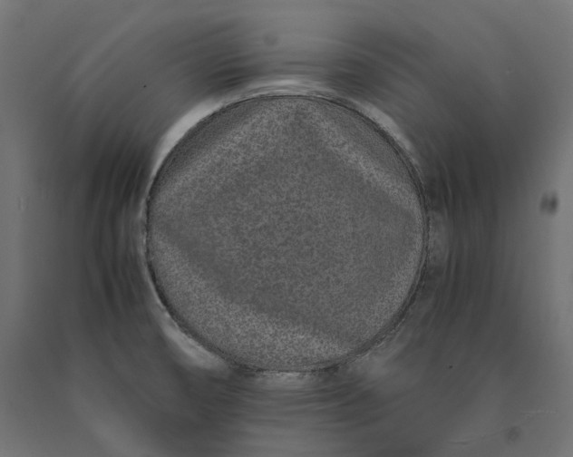 X0000090451474200708031206