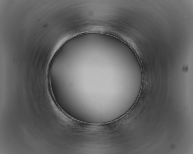 X0000090451475200708031206