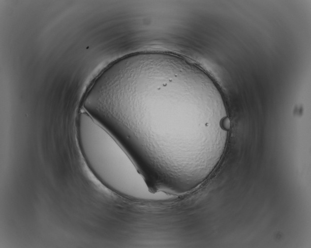 X0000090451476200708031206