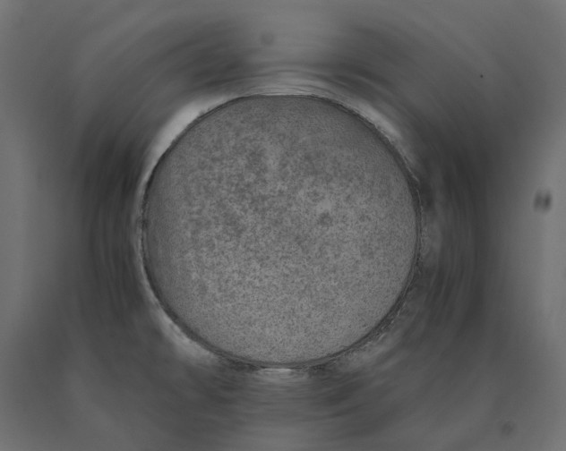 X0000090451478200708031206