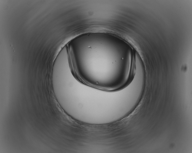 X0000090451481200708031206