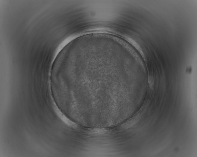 X0000090451482200708031206