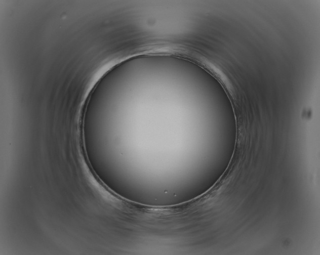 X0000090451483200708031206