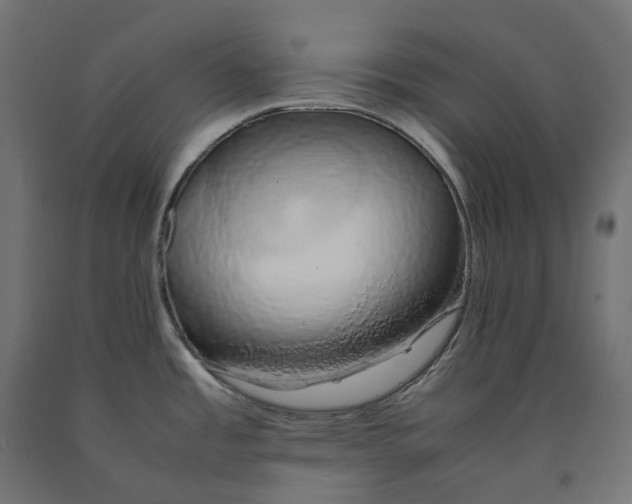 X0000090451485200708031206