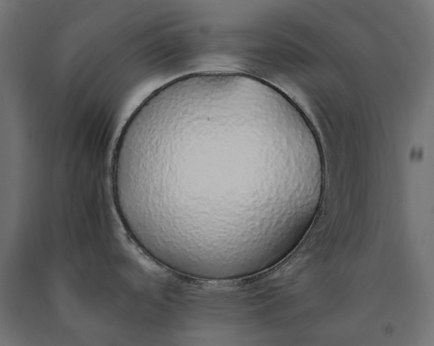 X0000090451488200708031205