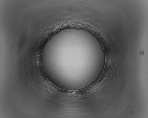 X0000090451490200708031205