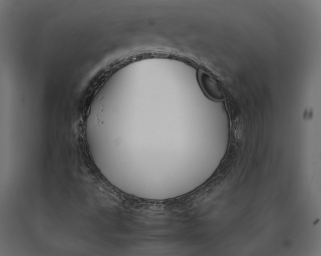 X0000090451495200708031205