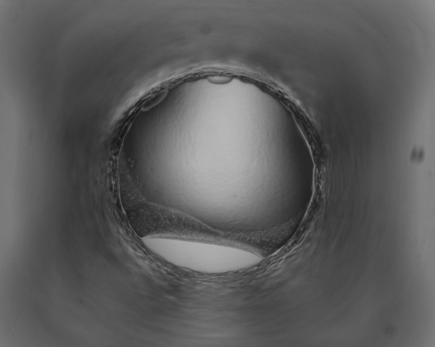 X0000090451496200708031205