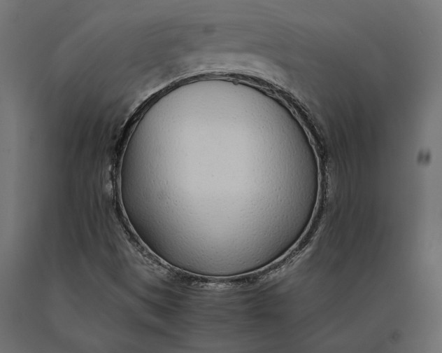 X0000090451497200708031205