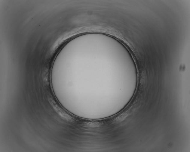 X0000090451499200708031205