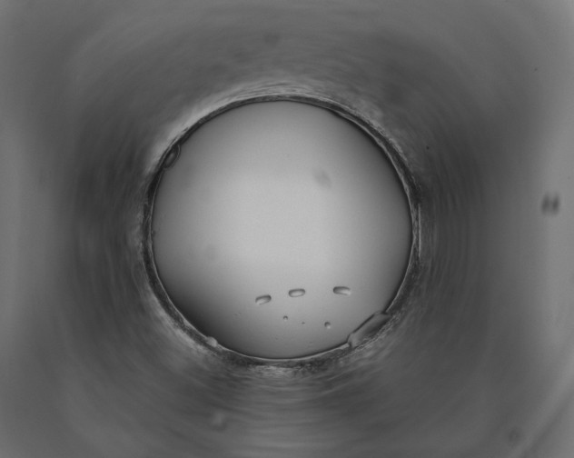 X0000090451500200708031205