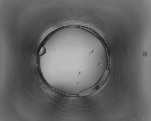 X0000090451501200708031205