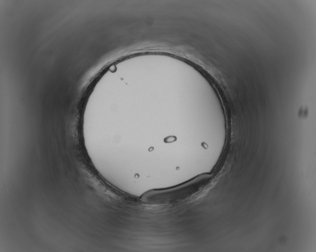 X0000090451502200708031205