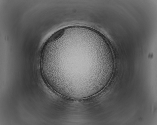 X0000090451504200708031205