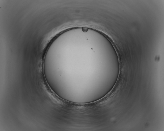 X0000090451507200708031205