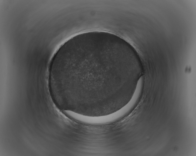 X0000090451508200708031205