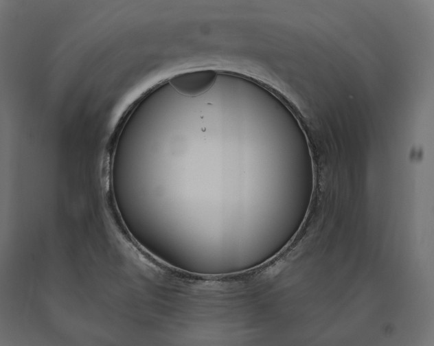 X0000090451510200708031205