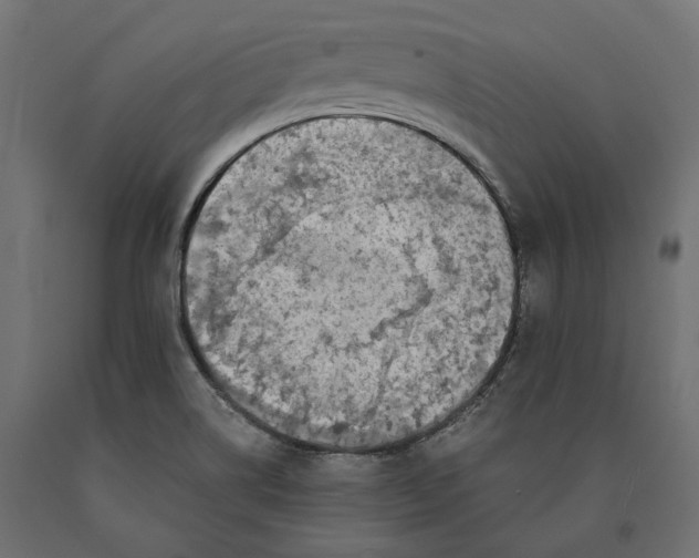 X0000090451514200708031205