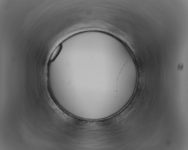 X0000090451516200708031205