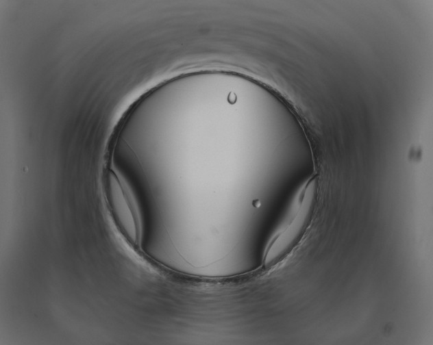 X0000090451518200708031205