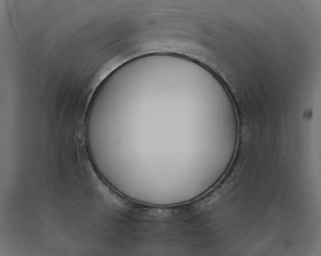 X0000090451521200708031205