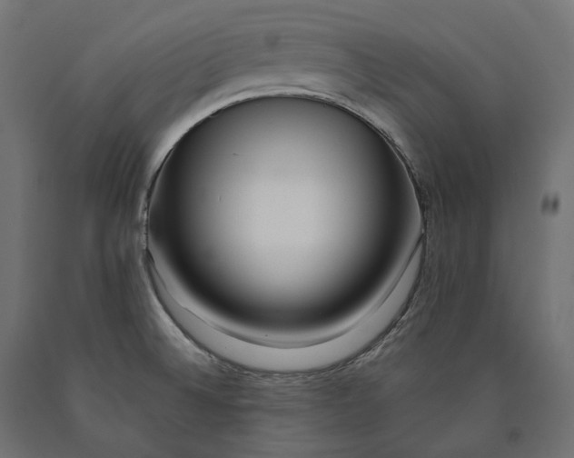 X0000090451524200708031205