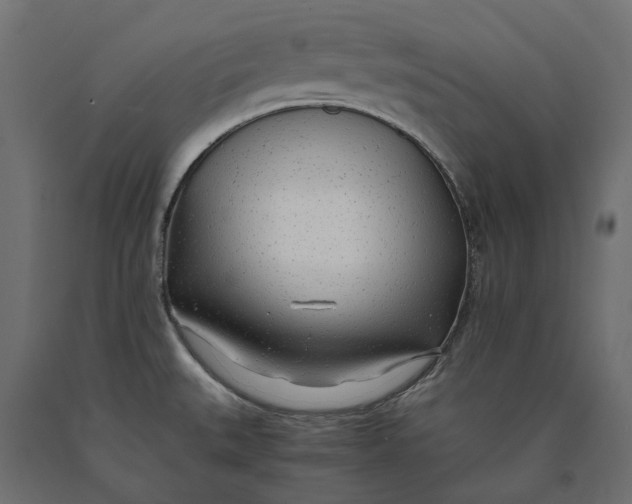 X0000090451527200708031205