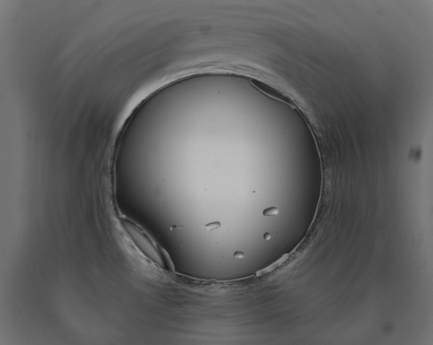 X0000090451530200708031205