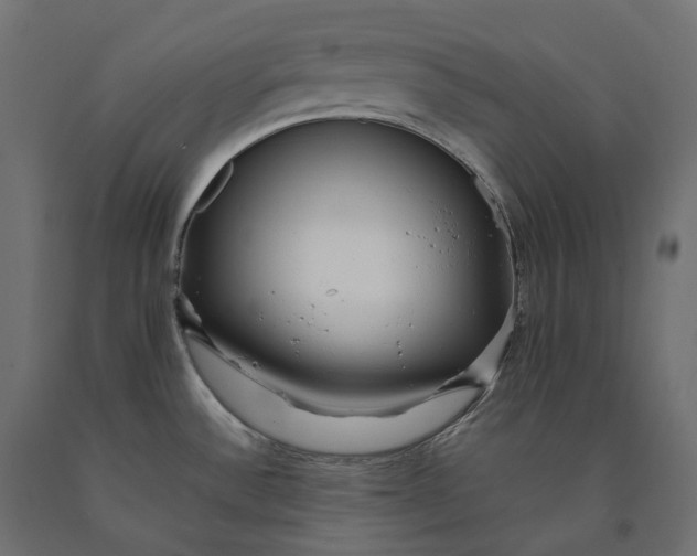 X0000090451532200708031205