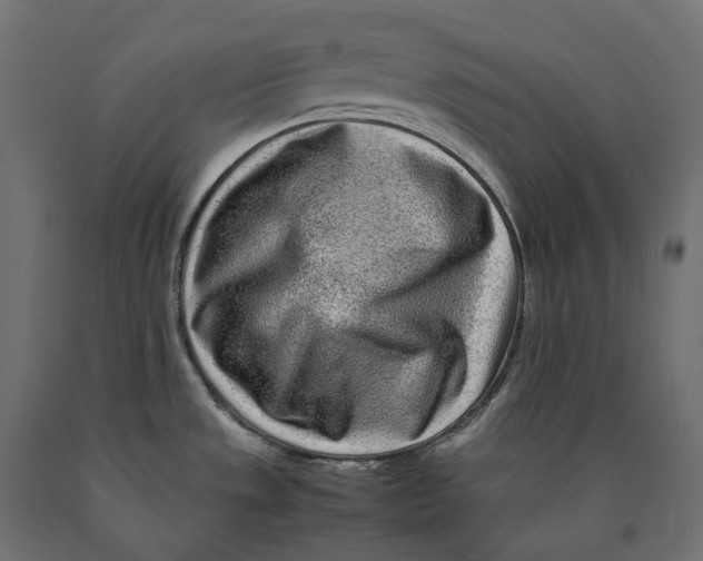 X0000090451533200708031205