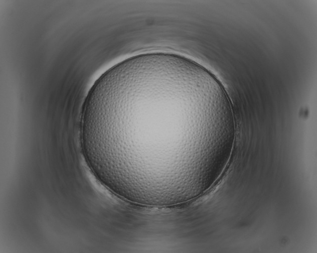 X0000090451534200708031205