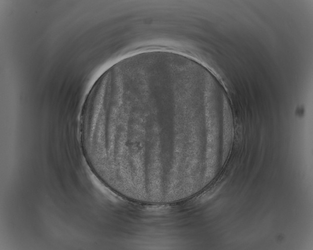 X0000090451535200708031205