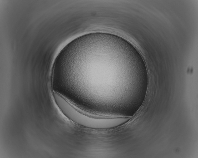 X0000090451536200708031205