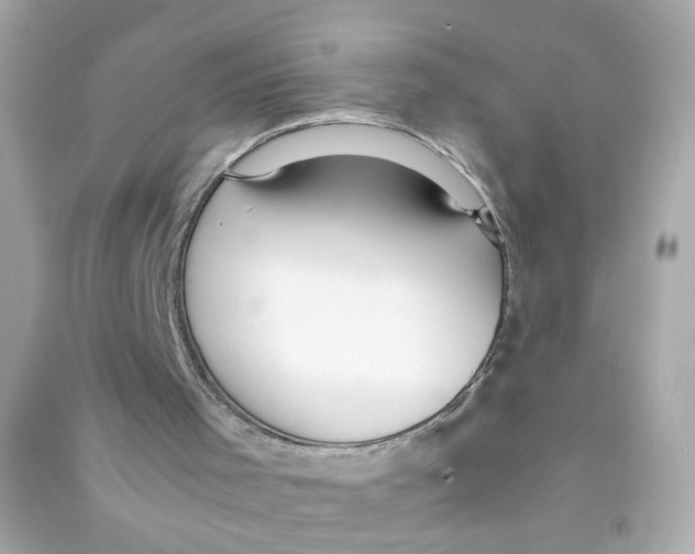 X0000090450001200708102059