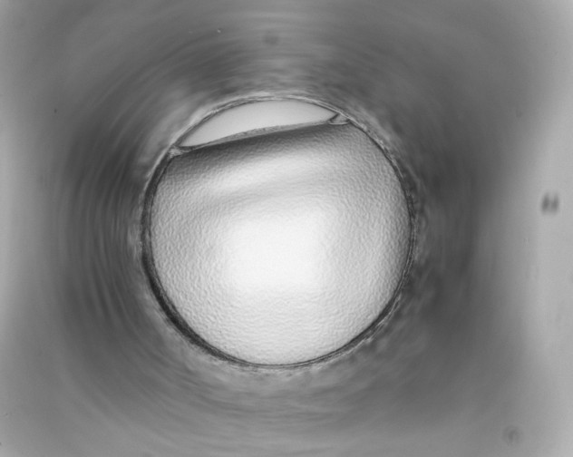 X0000090450002200708102059