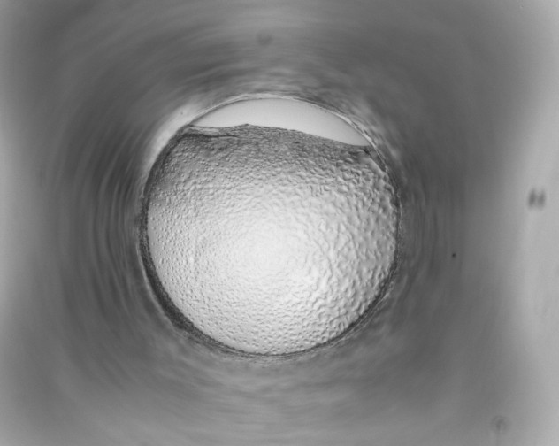 X0000090450003200708102059