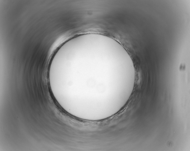 X0000090450004200708102059