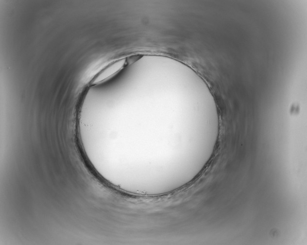 X0000090450005200708102059