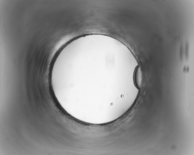 X0000090450008200708102059