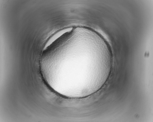 X0000090450009200708102059