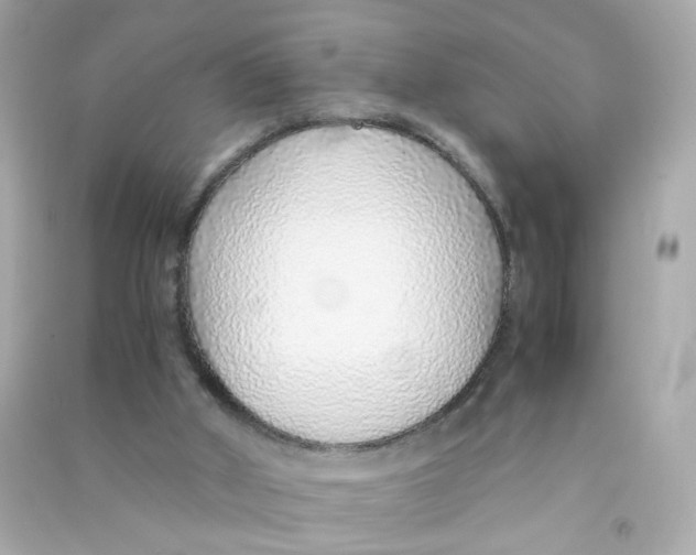 X0000090450010200708102059