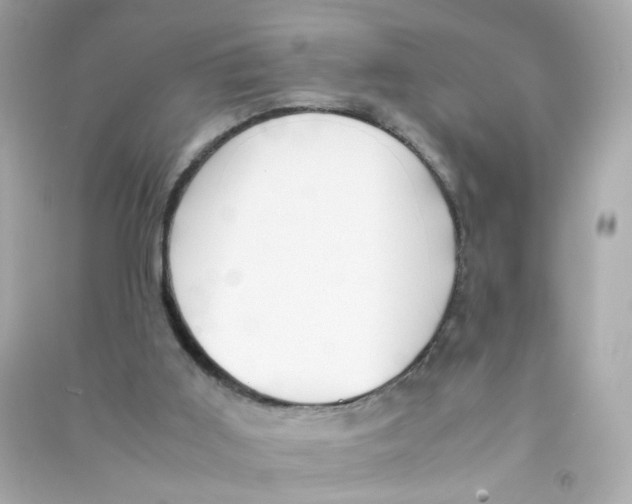 X0000090450011200708102059