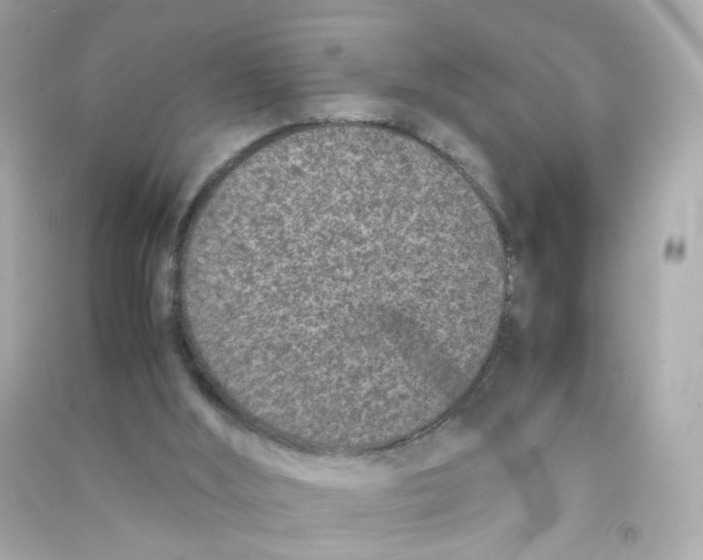 X0000090450012200708102059