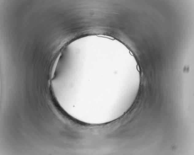 X0000090450013200708102059