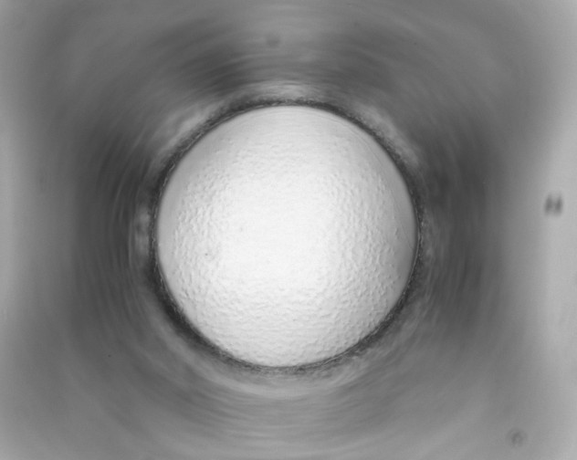 X0000090450014200708102059